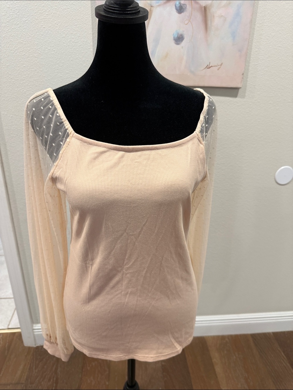 Square Neck Long Sleeve Top with Sheer Dot Sleeves Shoulders